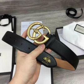 Picture of Gucci Belts _SKUGucciBelt38mmX95-125CM7D2273569